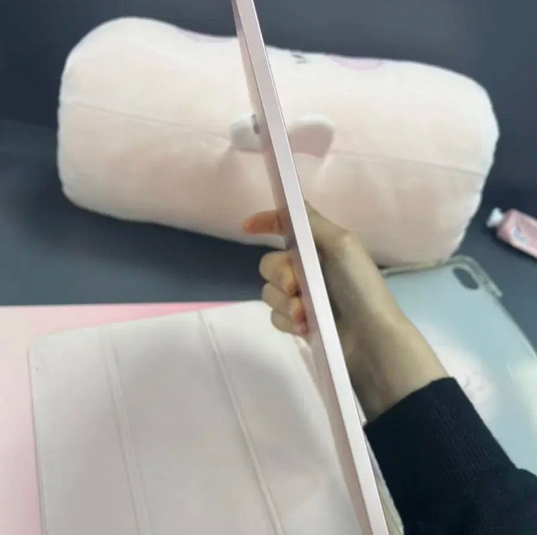 아이패드 에어4 256 핑크 셀룰러 이미지