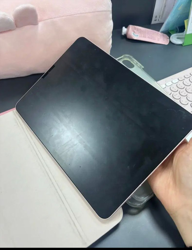 아이패드 에어4 256 핑크 셀룰러 이미지