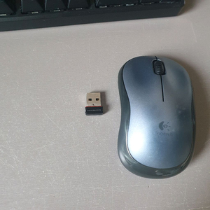 로제텍마우스2개일괄 예약품