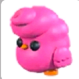 입양하세요 펫 캔디 플로스 병아리 판매(네고가능) 이미지