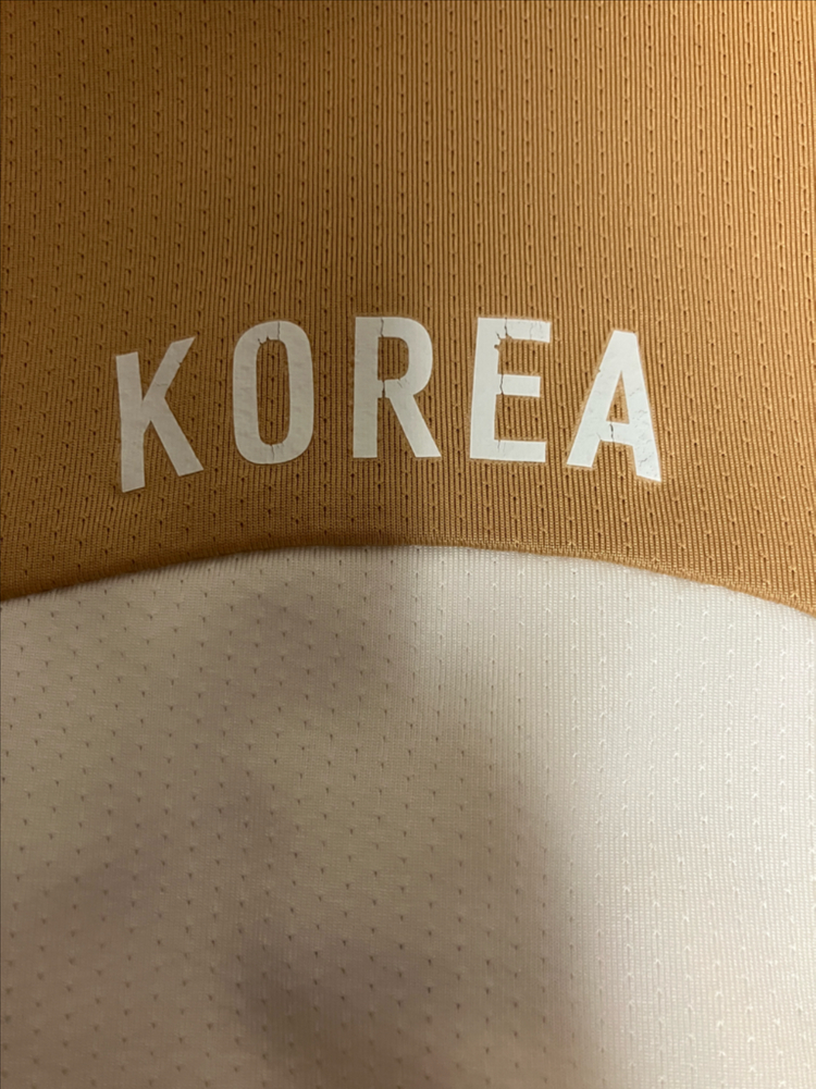 나이키 04-06 대한민국 국대 지급용 트레이닝탑--6