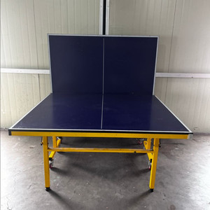 3번 중고탁구대 ds 다스핀 이미지