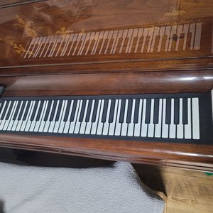 영창 롤 피아노 61건반 179,000->70,000 이미지