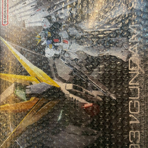 RG 뉴건담,사자비 일괄 (택포, 미개봉)