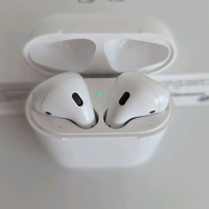 애플 에어팟 2세대 MV7N2AM/A 이미지