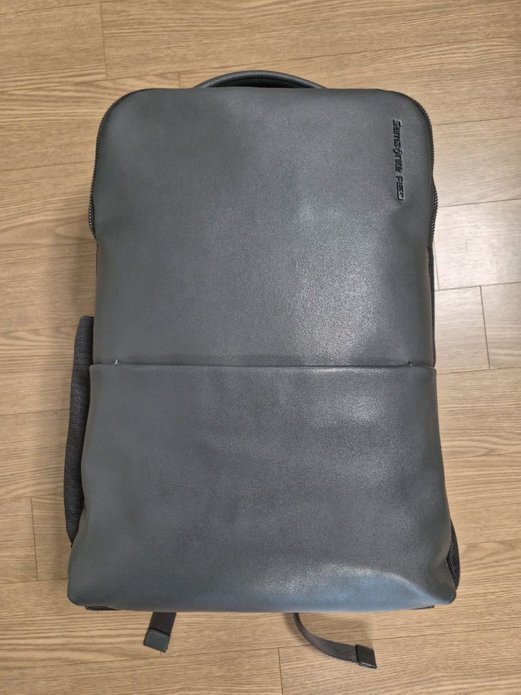 샘소나이트 레드 뉴몬트 백팩 이미지