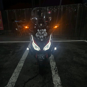 혼다 포르자350 25년식 이미지