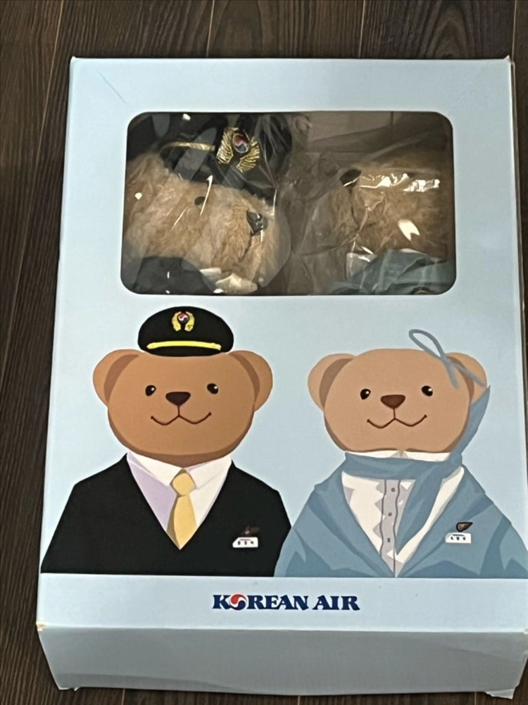 대한항공 테디베어 사랑이 환경이 세트 - 안심되는 중고거래