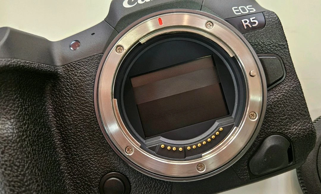 A급 > CANON 캐논 EOS R5 풀프레임 미러리스 이미지