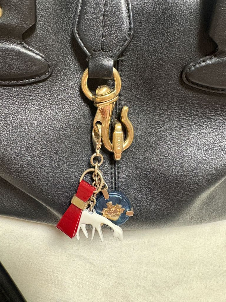 발리 모리츠 마드리엘레 백 이미지