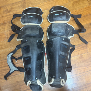 나이키 포수 렉가드