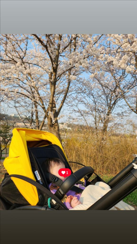 부가부 비6 유모차 (풋머프, 브리지 썬캐노피 등 일괄) 이미지