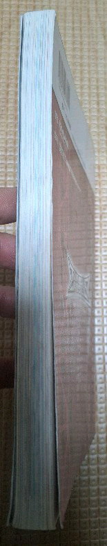 PSP 크라이시스코어, PS2 럼블로즈 이미지