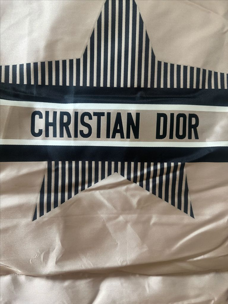 디올 스타 패딩 이미지