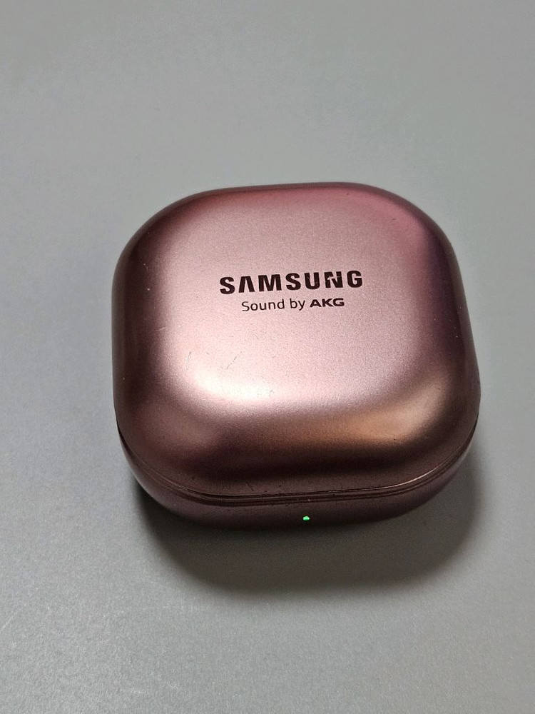 버즈라이브 브론즈 충전본체 이미지