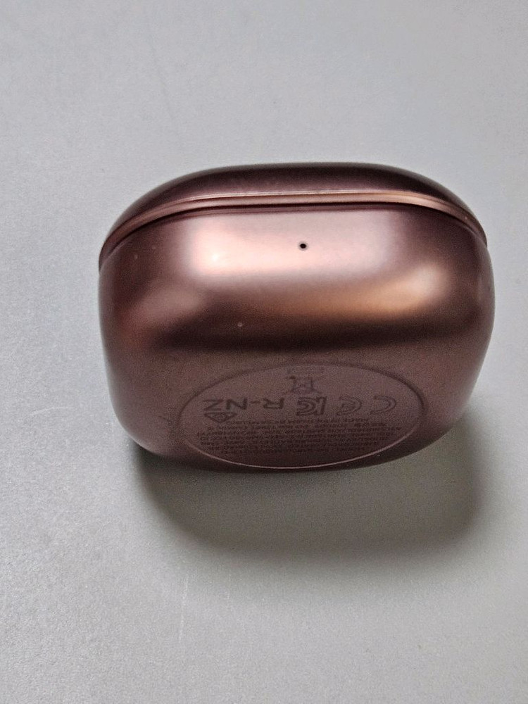 버즈라이브 브론즈 충전본체 이미지