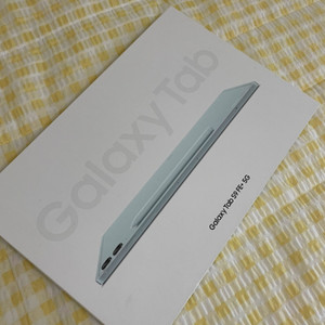 갤럭시탭 S9 FE+ 셀룰러 128GB