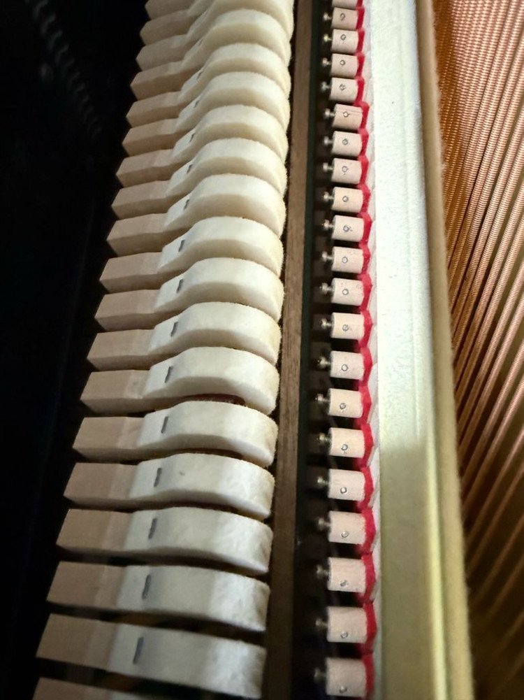 야마하업라이트YU-10 일본오리지날내수용 이미지