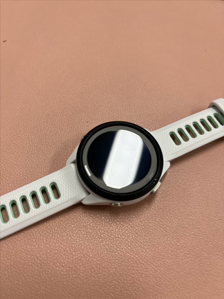 가민포러너265s--1