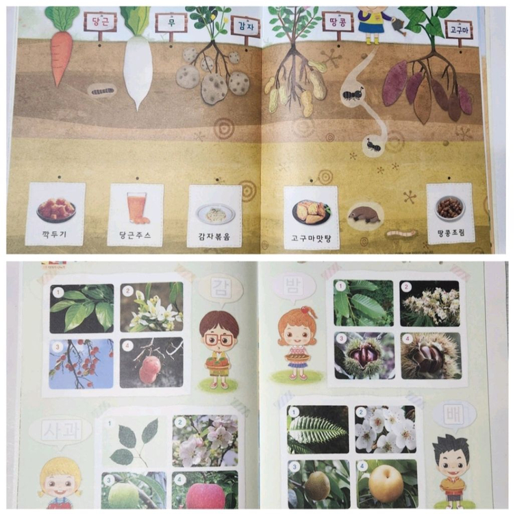 [새제품] 놀이중심 누리나래 통합프로그램 교구교재세트(2-8호) 이미지