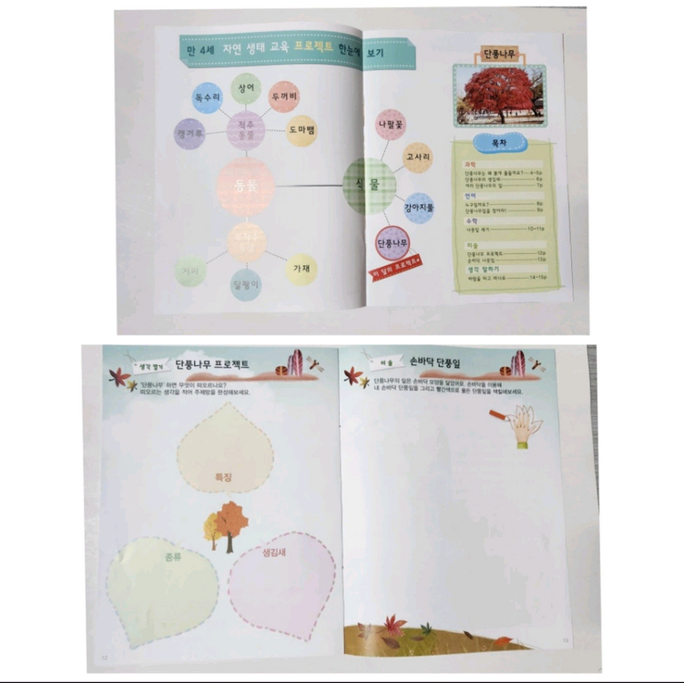 [새제품] 놀이중심 누리나래 통합프로그램 교구교재세트(2-8호) 이미지