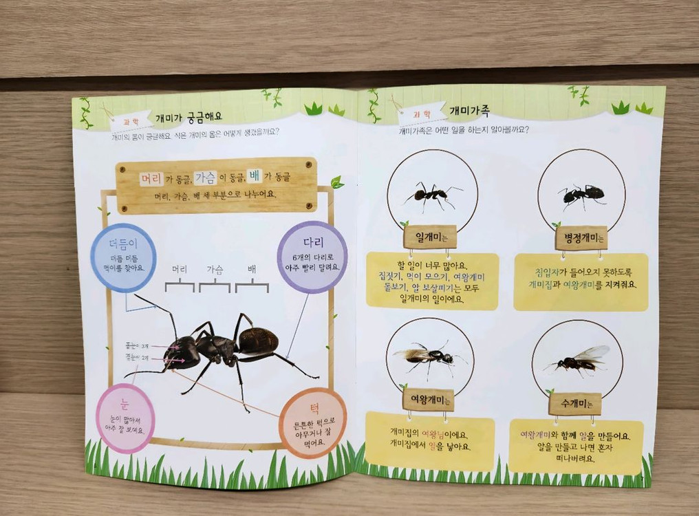 [새제품] 놀이중심 누리나래 통합프로그램 교구교재세트(1-1호) 이미지