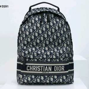 디올 오블리크 트래블 백팩