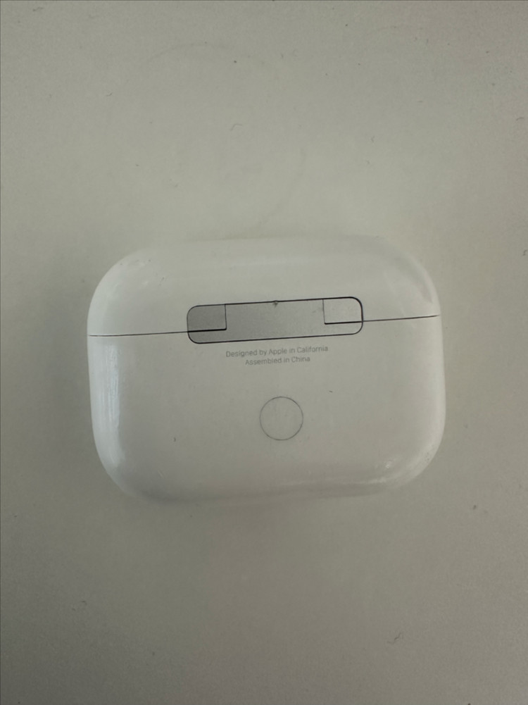 에어팟 프로 2세대 본체 이미지