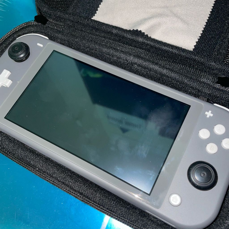 닌텐도 스위치 라이트 그레이 (+동물의 숲 칩,아미보) 이미지