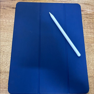 아이패드 프로 12.9 4세대 512GB + 애플펜2세대 + 케이스 이미지