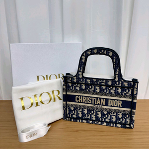 디올 오블리크 북토트백 미니 이미지