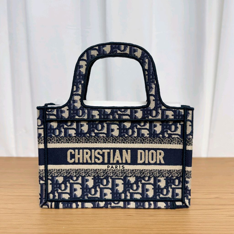 디올 오블리크 북토트백 미니 이미지