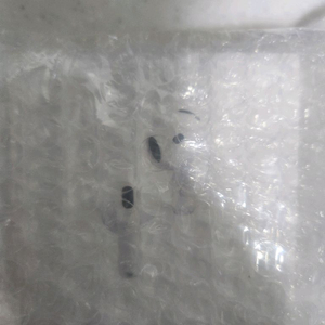 에어팟4 노캔O(미개봉 새상품) 이미지