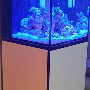 세종 대전 직거래 해수어항 풀세트 이미지