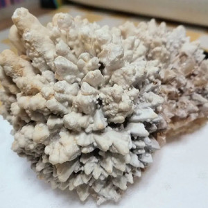 도그투스 칼사이트