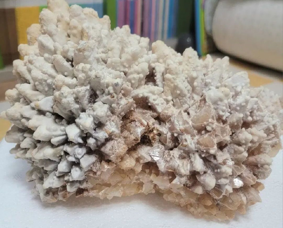 도그투스 칼사이트--1