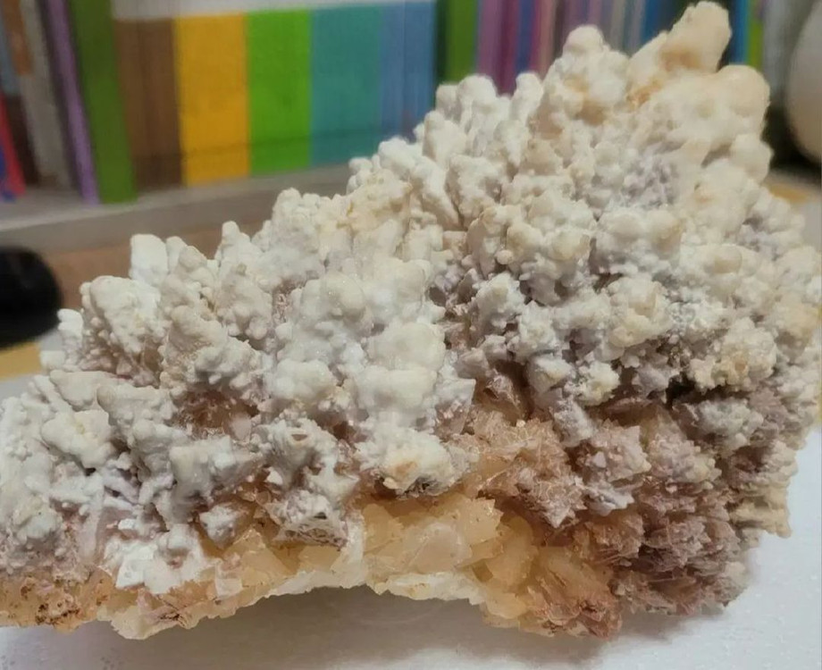 도그투스 칼사이트--2