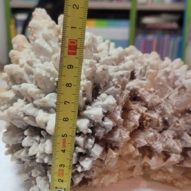 도그투스 칼사이트--4