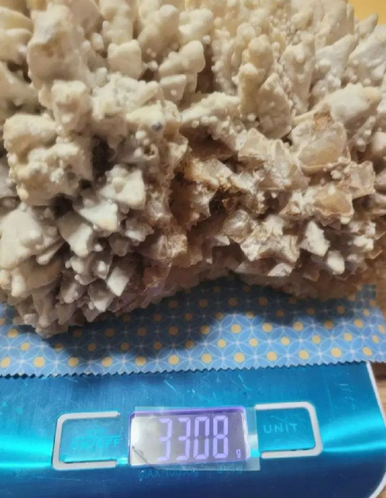 도그투스 칼사이트--5