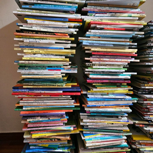 시공주니어 네버랜드 250권 전권 - 상태 매우좋음 이미지