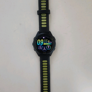 가민 포러너 265S