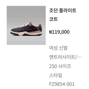 나이키 조던. 여성화 250 이미지