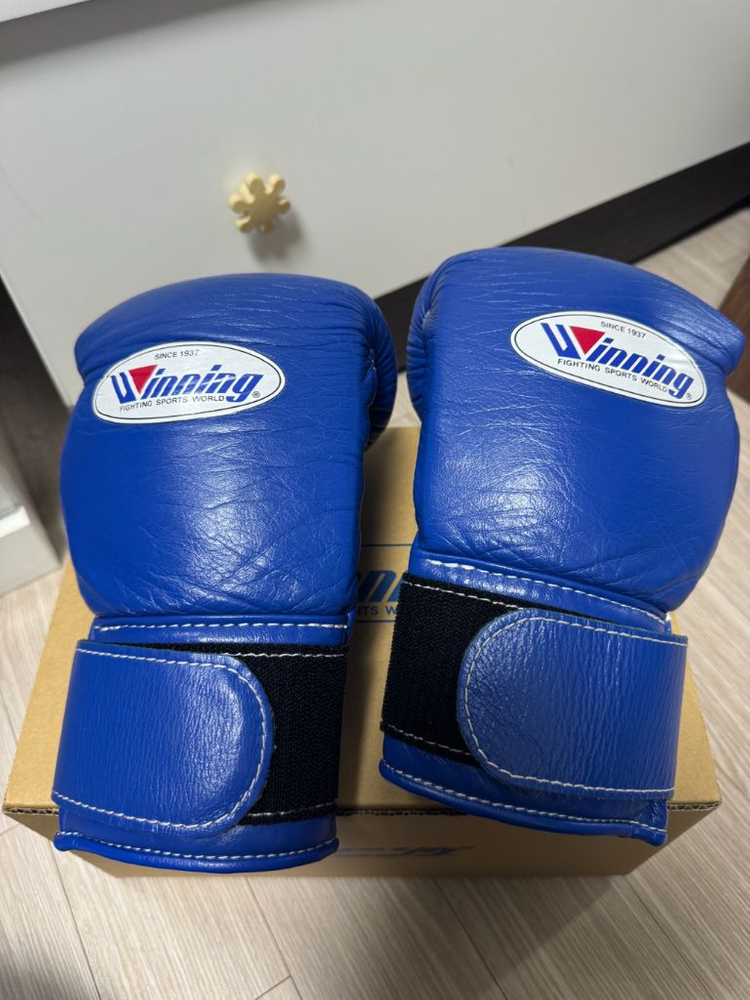위닝 복싱글러브 8온스 블루 이미지
