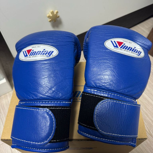 위닝 복싱글러브 8온스 블루 이미지