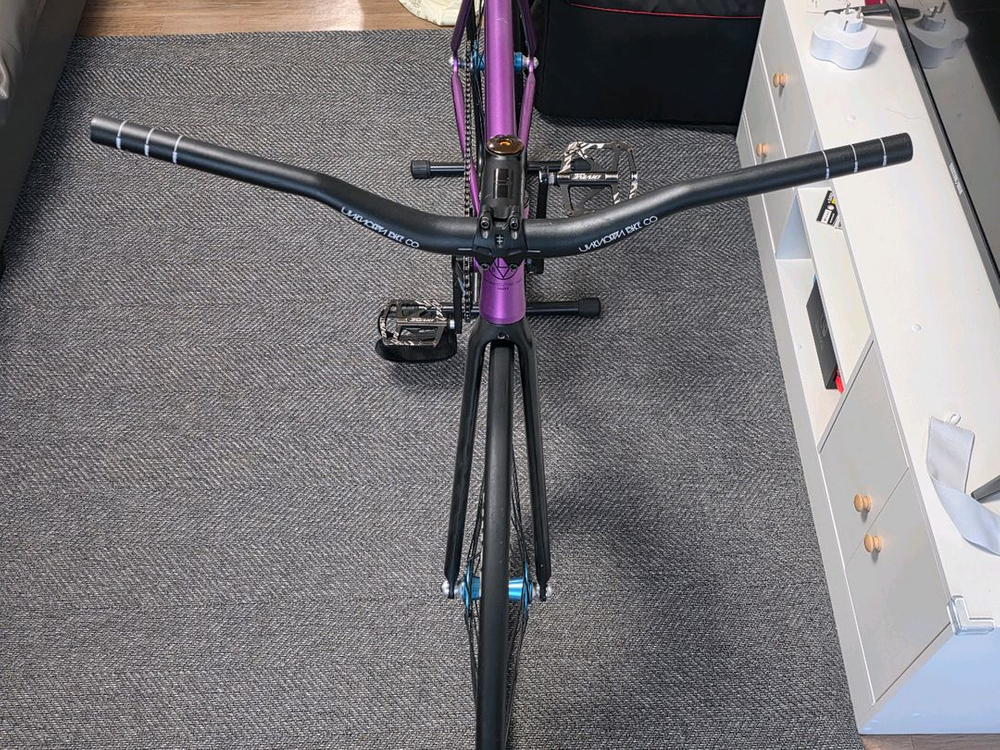 Unknown type 1 퍼플 픽시 자전거 (비챔프 카본 휠셋 + 벨로시닷 크랭크--1