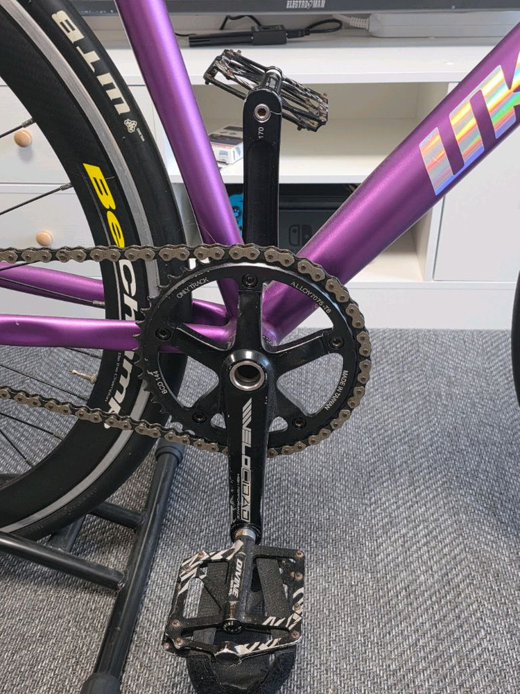 Unknown type 1 퍼플 픽시 자전거 (비챔프 카본 휠셋 + 벨로시닷 크랭크--3