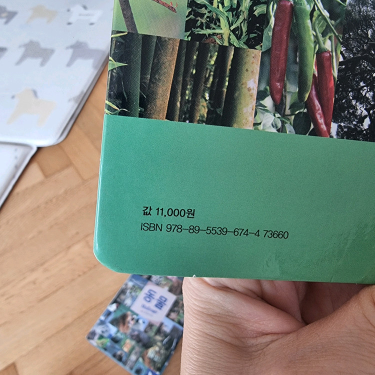 와이즈팍스 포켓 자연도감 3종 세트--2