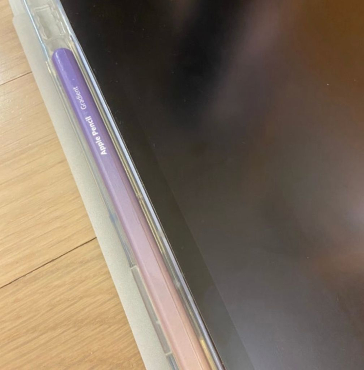 (새상품)오래요 애플펜슬2 스킨 이미지