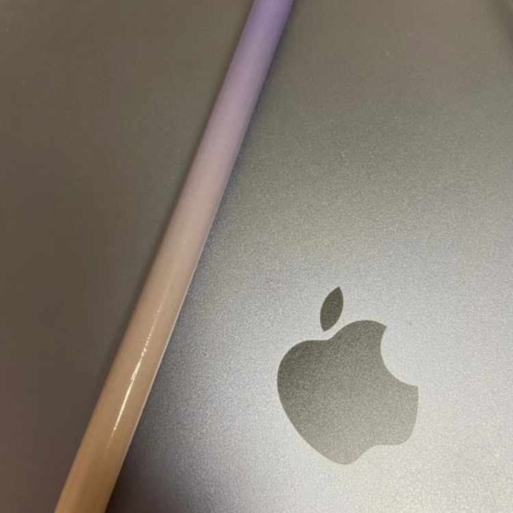 (새상품)오래요 애플펜슬2 스킨 이미지