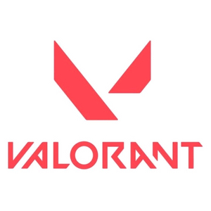 발로란트 레벨업 대리 해드립니다! 이미지